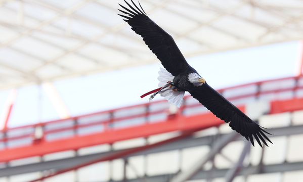 Benfica arranca a Liga sem adeptos em Viseu, e há crédito à espera no Red Pass